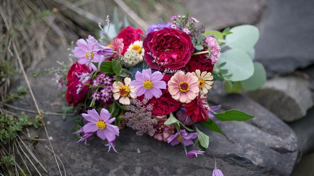Summer flower photography tips that 99% of people don't know about 1 1