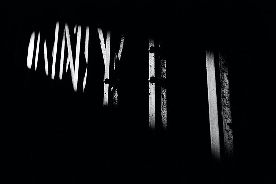 Photography Tutorial----5 Methods to Learn Black-and-White Photography 3 图片3 3