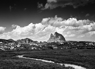 Photography Tutorial----5 Methods to Learn Black-and-White Photography 5 图片5 2