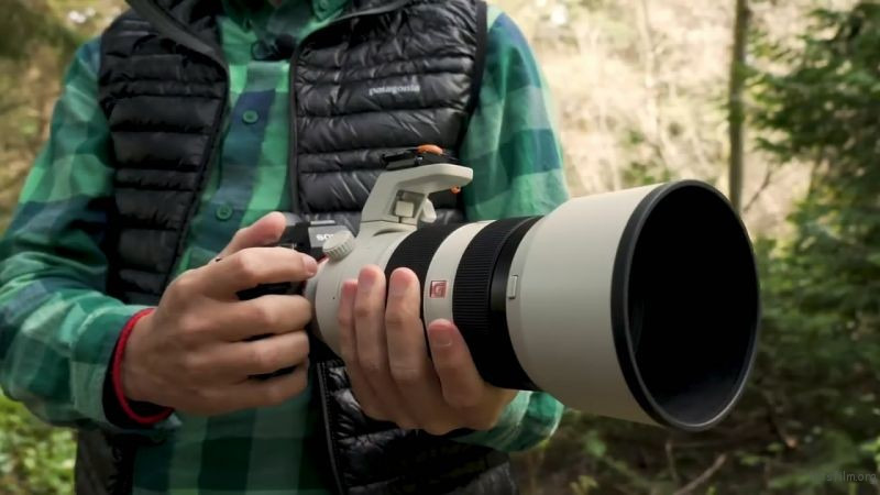 Keep these three tips in mind when photographing wildlife 1 图片1 2 1