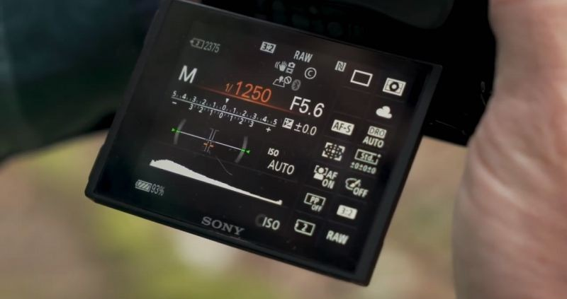 Keep these three tips in mind when photographing wildlife 5 图片5 1