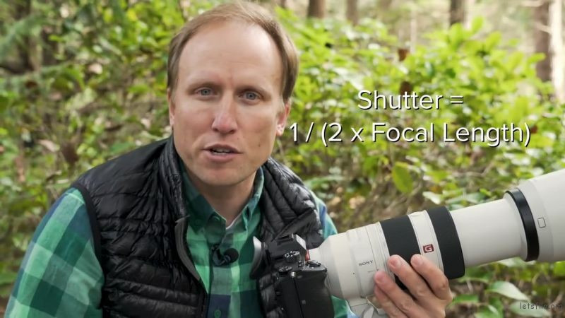Keep these three tips in mind when photographing wildlife 6 图片6 1 4