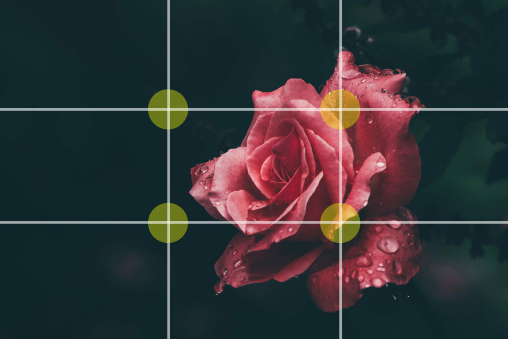 Aesthetics of photography composition 7 图片7 2