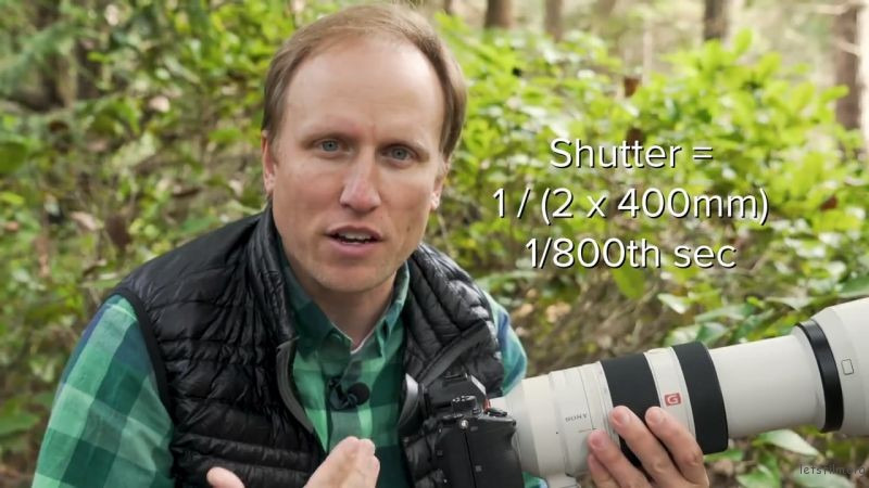 Keep these three tips in mind when photographing wildlife 7 图片7 3 5