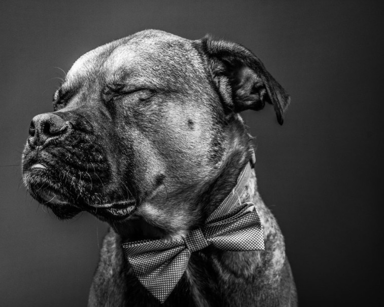 Best Photography Websites and Resources 9 图片9 3 1