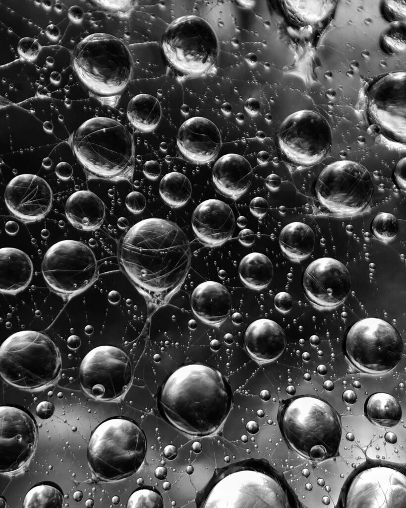 Black and White Art in Photography 6 图片6 2