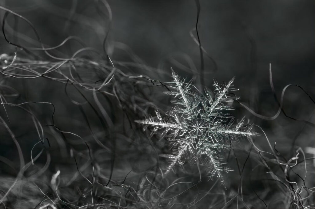 Black and White Art in Photography 10 图片8 2
