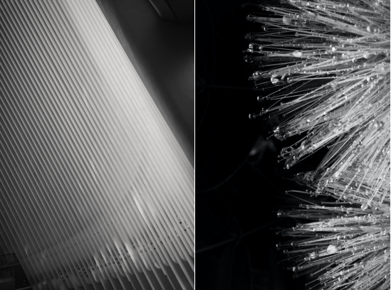 Black and White Art in Photography 9 微信截图 20221109101915