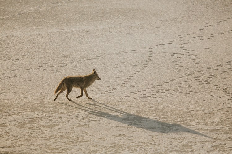 A few things you need to know to be a good outdoor photographer 1 图片1 2