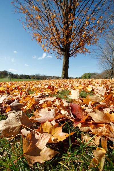 A few things you need to know to be a good outdoor photographer 5 图片5 2