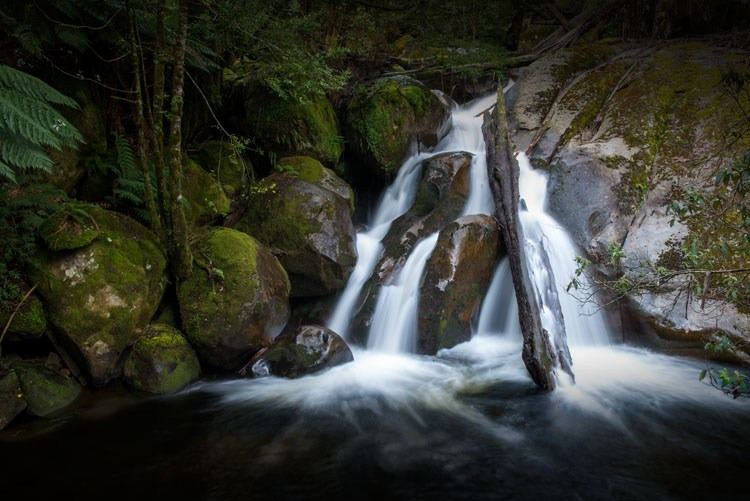 A few things you need to know to be a good outdoor photographer 8 图片8