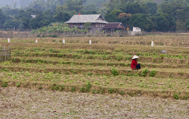Post cropping is also the second best method of photographic composition 1 图片1 3