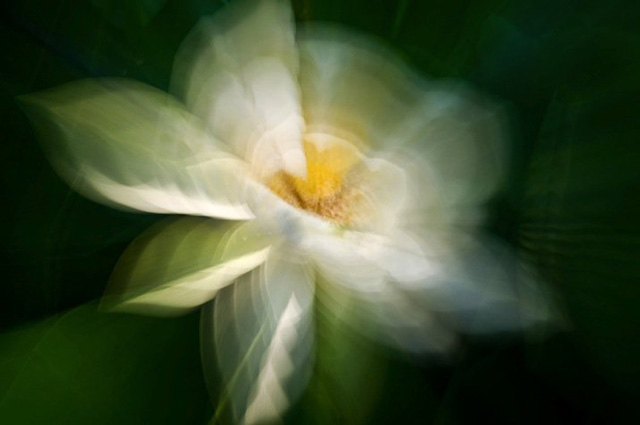 A stream of consciousness photograph is also a combination of light and shadow 8 图片1 1