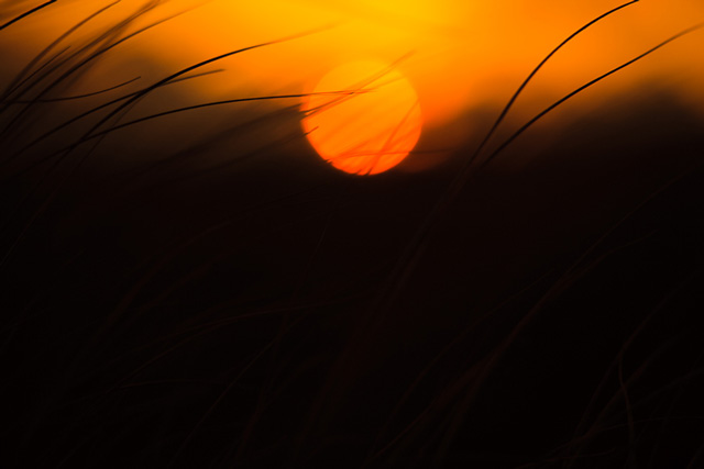 Do you want your photos to feel cinematic? 10 图片10