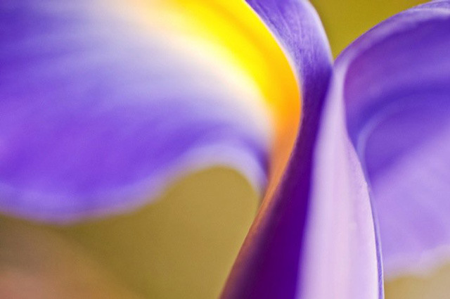 A stream of consciousness photograph is also a combination of light and shadow 1 图片2 1 2