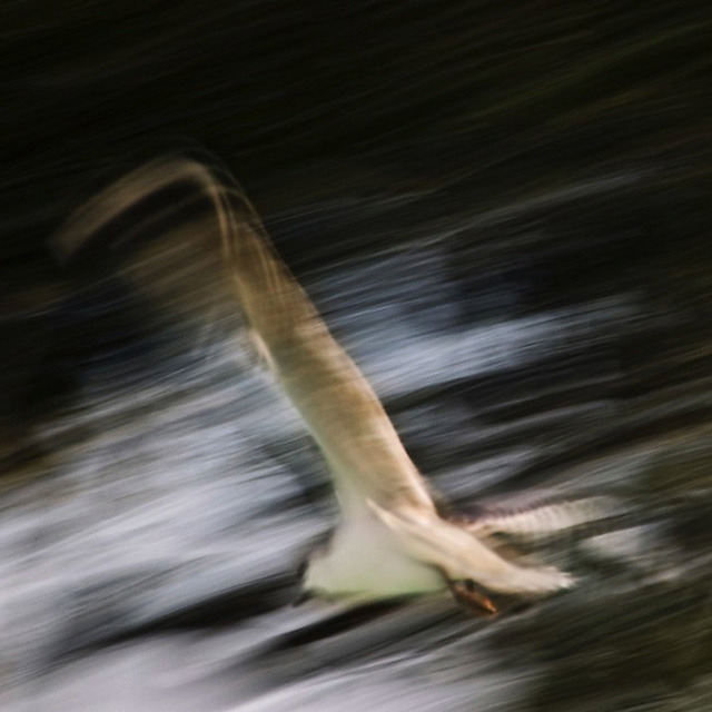 A stream of consciousness photograph is also a combination of light and shadow 6 图片7 1 4