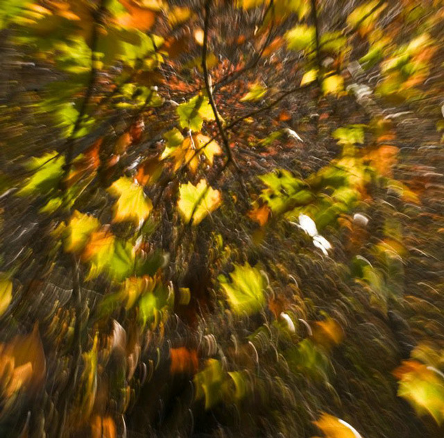 A stream of consciousness photograph is also a combination of light and shadow 9 图片9 1
