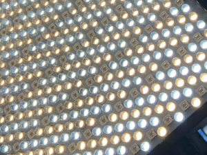 Affordable bright LED light